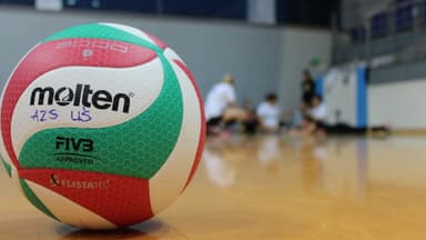 Équipe de France de volley-ball